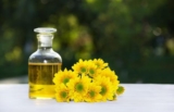 Why Is Canola Oil Banned In Europe? Understanding the Controversy